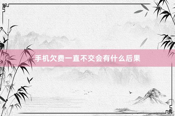 手机欠费一直不交会有什么后果